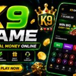 K9 Game