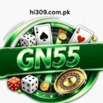 GN55 Game