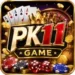 PK11 Game